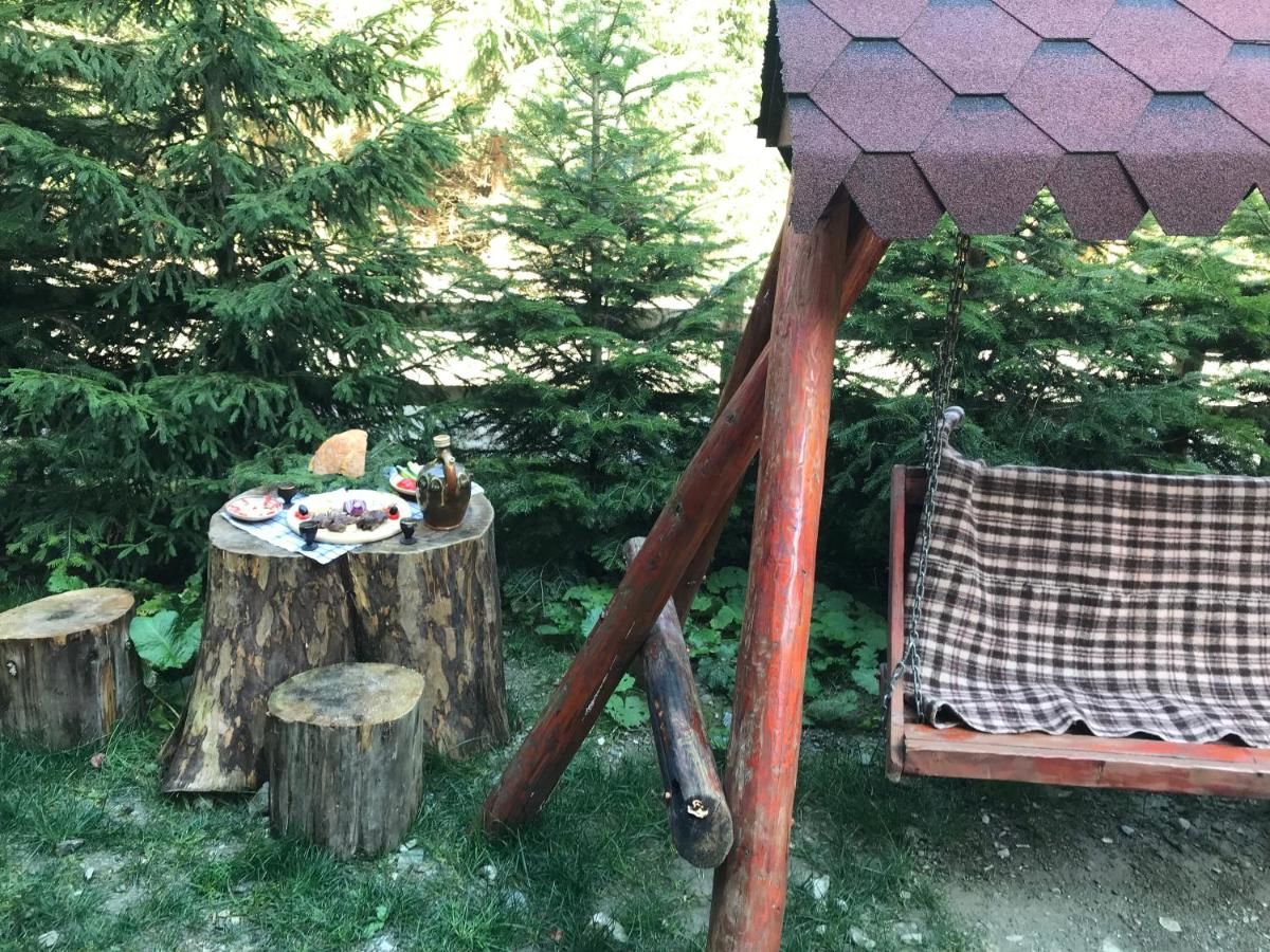 Лоджи CABANA MARIA-PETRIMANU Ciungetu-9